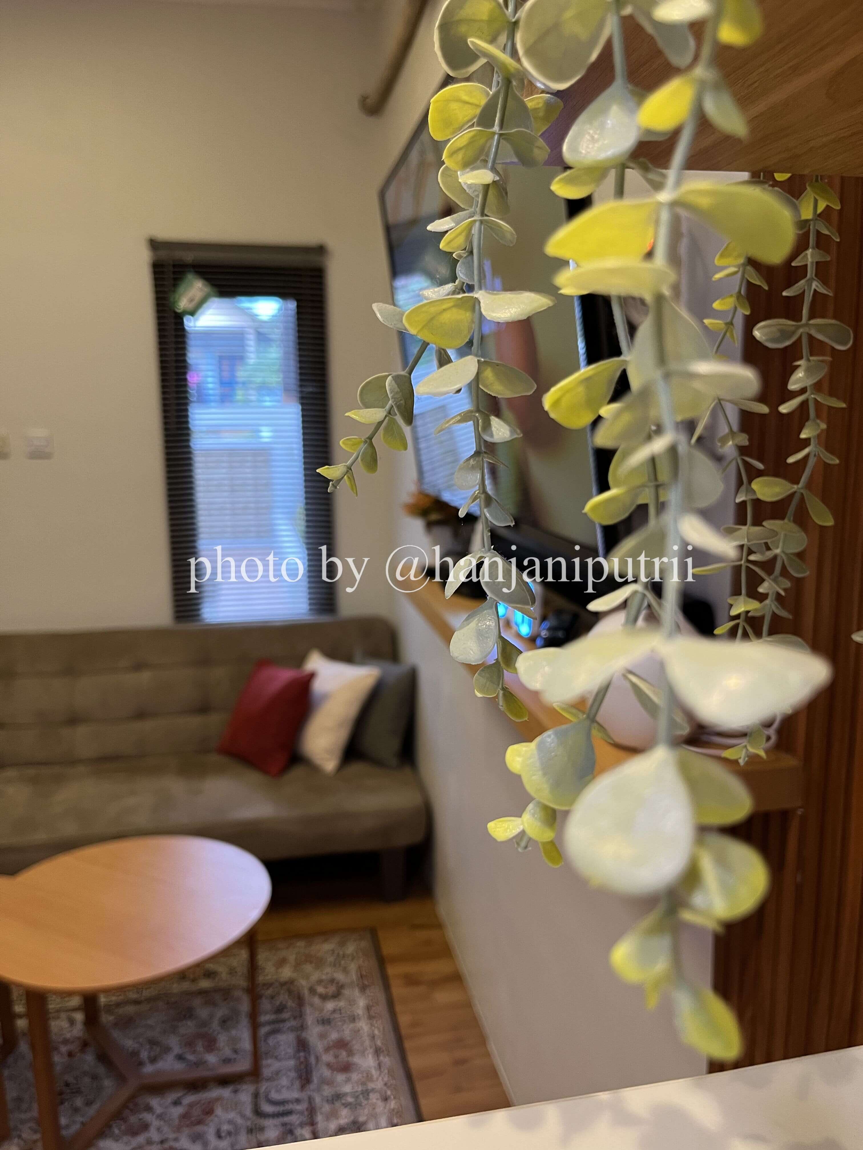 Gallery Photo 2